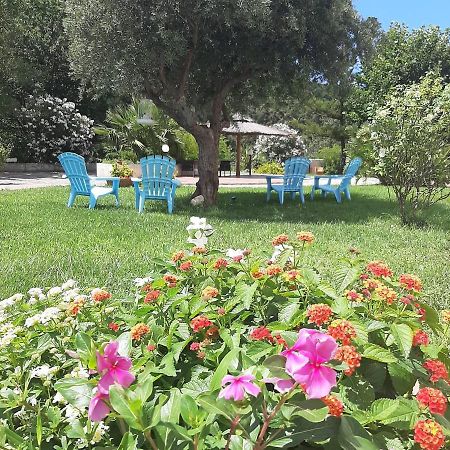 Hotel Parco Delle Rose Acquappesa Zewnętrze zdjęcie