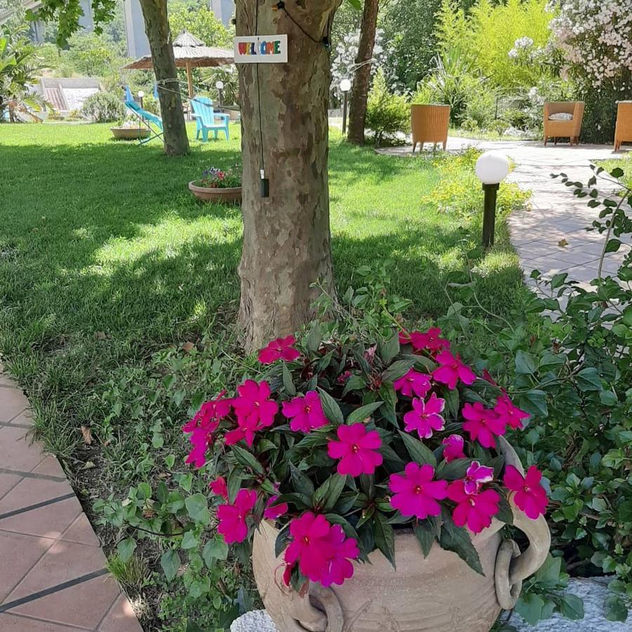 Hotel Parco Delle Rose Acquappesa Zewnętrze zdjęcie
