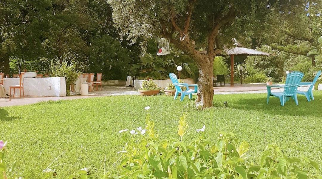 Hotel Parco Delle Rose Acquappesa Zewnętrze zdjęcie