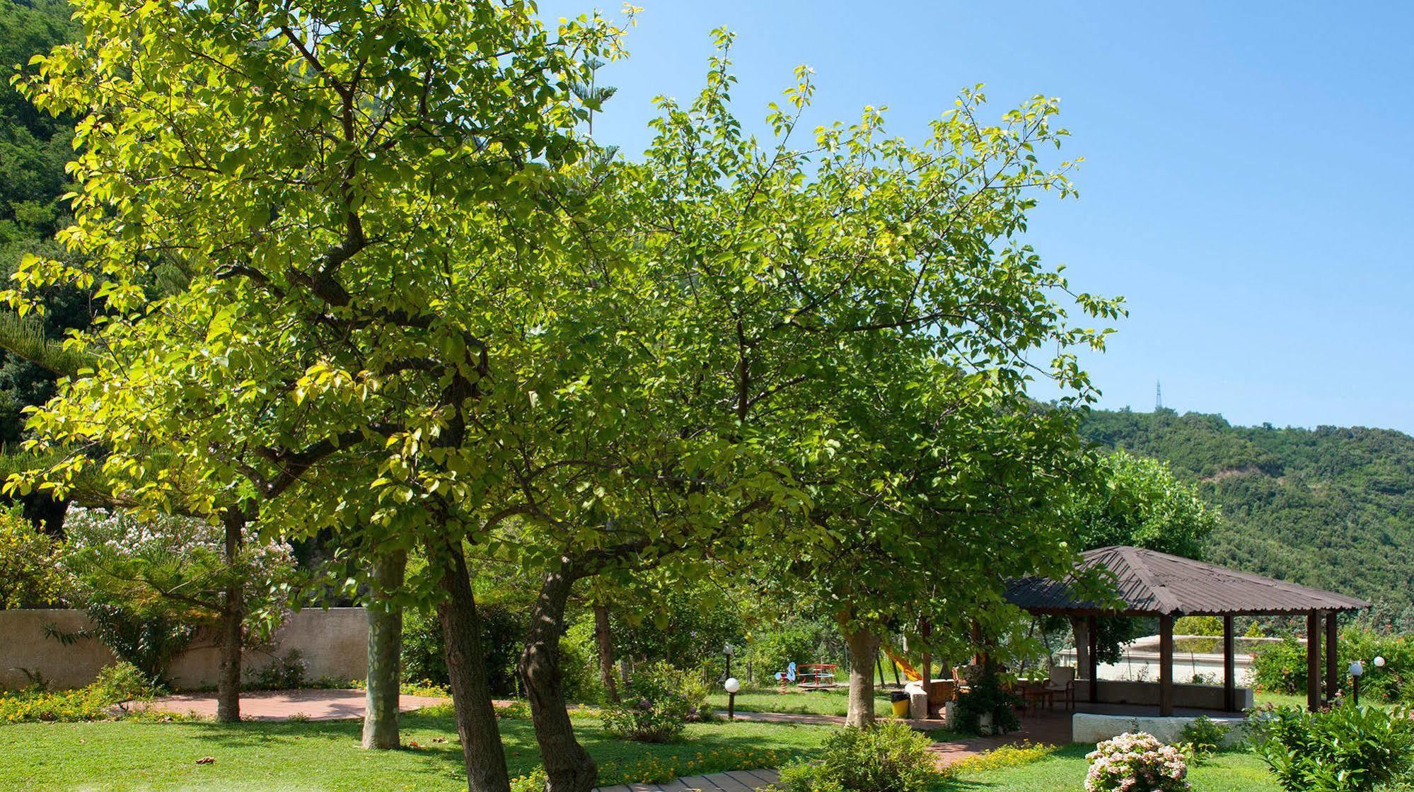 Hotel Parco Delle Rose Acquappesa Zewnętrze zdjęcie